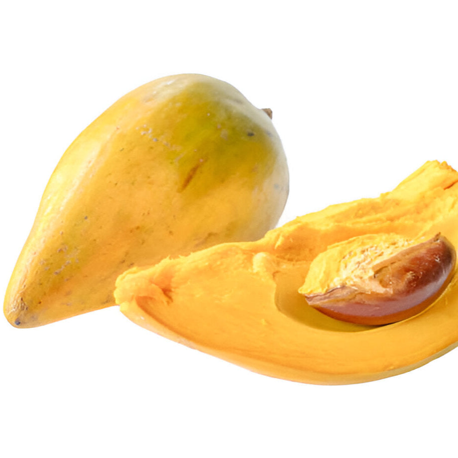🥭 Canistel (Egg Fruit) Seedlings