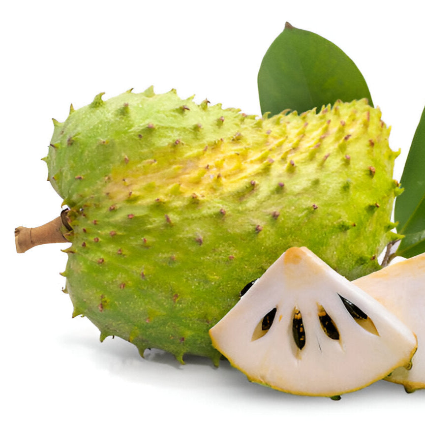 Soursop (Graviola) Fruit Seedlings